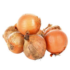 Fresh Red Onion Importers Cheap Fresh Vegetables