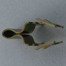 Stamping Metal Electrical Wiring Terminals (089)