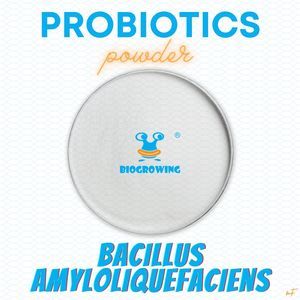 [Long-Life] Bacillus Amyloliquefaciens Ba-G77 Probiotics Powder OEM/ODM Raw Materials Manufacturer Supply
