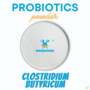 [PRO-Grade] Clostridium Butyricum CB-G57 Probiotics Powder