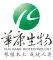 Company icon