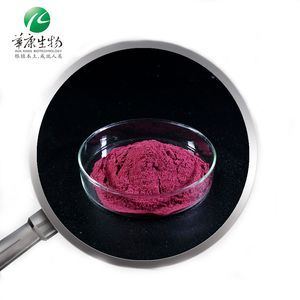 Hunan Huakang Cranberry Extract Powder: Powerful Anthocyanins for Health Protection