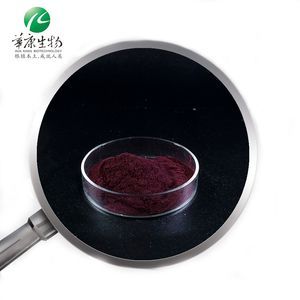 Factory Supply Plant Extract Antioxidant Bilberry Fruit Extract Anthocyanidin Powder