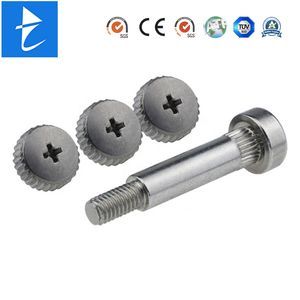 Custom Fastener Nickel Chrome Plated Phillips Driver Round Head Thread Machine Screw