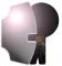 Company icon