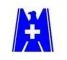 Company icon