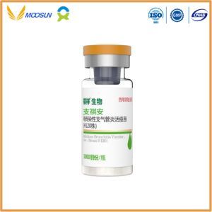 GMP Factory Infectious Bronchitis Vaccine, Live (Strain H120) High Quality