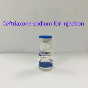 Ceftriaxone Sodium for Injection 0.5g, 1.0g, 2.0g or with 10ml Wfi