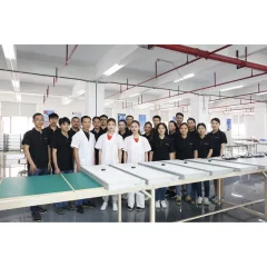 Esavior (Guangzhou) Green Energy Co., Ltd. All in One Solar Street Light