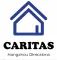 Company icon