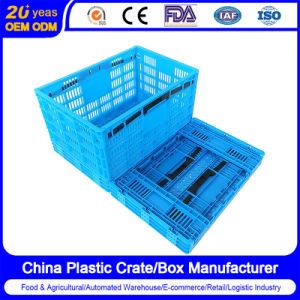 Plastic Collapsible Storage Crates Plastic Basket Egg Vegetable Fruit Transport Basket Folding Crate for Logistic/Moving/Turnover/Agriculture