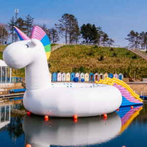 Giant Inflatable Water Unicorn Children Playground Equipment for Sale