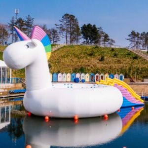 Giant Inflatable Water Unicorn Children Playground Equipment for Sale