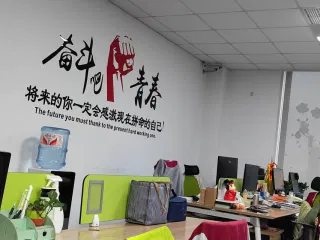 Hangzhou Frankever Electronic Co., Ltd. Smart WiFi Socket