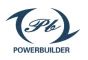 Company icon