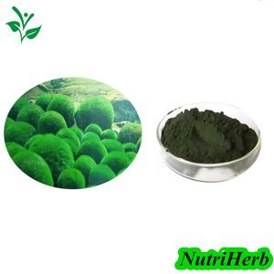 Nutriherb Supply Organic Natural Chlorella Vulgaris Powder Chlorella Tablets