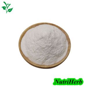 Bulk Supply Natural Green Tea Extract 99% Suntheanine L-Theanine