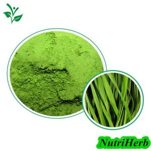Bulk Supply Wheat Grass Powder Organic Wheatgrass Juice Powder for Drinking
