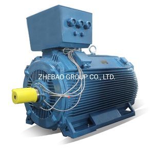 Frame Size 400~450mm High Power Three Phase Induction Electric Motor