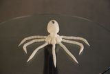 Custom Superior Quality 3D Printing Octopus Model SLA 3D Printing Service for Rapid Prototypes