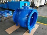 Eccentric Plug Valve