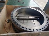 Stainless Wafer Check Valve
