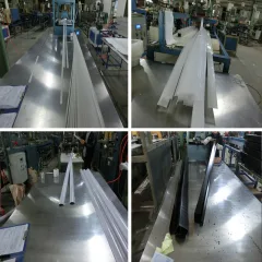 Dongguan Tangxia Dachang Plastic Hardware Processing Factory Plastic Extrusion Profiles