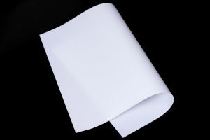 China Best Quality 58g Glassine Paper for Label Industry Use