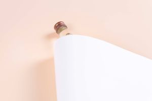 China Top Quality 68g Base Paper for Metallizing for Label Industry Use