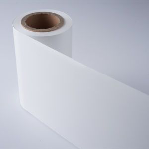 LLDPE Film LDPE Film PE Film Polyethylene Plastic Film Toothpaste and Cosmetic Packaging Material Abl Pbl Tube Film