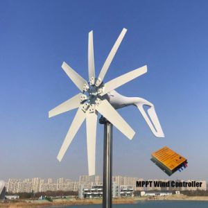Hot Sale 400W Wind Turbine Generators for Home Use