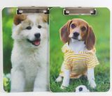School Supplies Office Promotional Products Cute Dog Cat Pattern Paper File Clipboard