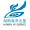 Company icon