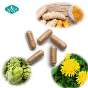 Liver Health Dandelion Root Milk Thistle Natural Herbal Extract Repair Formula Capsule