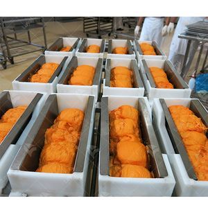 Panko Machine Manufacturers Japanese Bread Crumbs Processing Line Bread Crumbs Making Machine