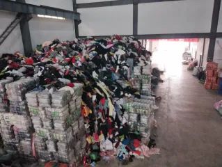 ct9peoop7jrc73e54k00.webp