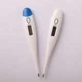 Digital Thermometer