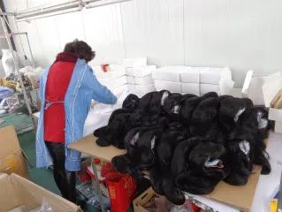 ct9pn1hgv6tc73bgb170.webp
