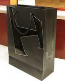 Luxury Shopping Bag, Boutique Paper Bag, Gift Bag (XY-8168)