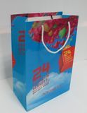 Luxury Shopping Bag, Shoe Packaging Bag, Paper Bag, Gift Bag (XY-8167)