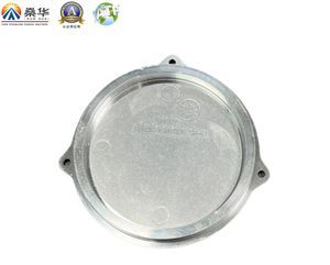 OEM Customized Aluminum Alloy Die Casting Part for Auto Engine