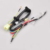 in Car Engine Electronics Wire Harness