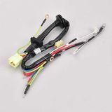 in Car Engine Electronics Wire Harness