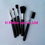Cheap 5PCS Brush Set for Promotional (Ak-S050)