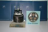 Qingdao Hanhe Cable Submarine Cable-10kv 20kv 33kv 110kv 230kv 400kv 500kv