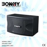 Boway Professional Lound Speaker (K-102)