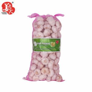 Top Quality New Crop 2021 Fresh Normal White Purple Red Chinese Garlic