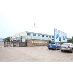 ct9qm4hgv6tc73bgq0s0.webp
