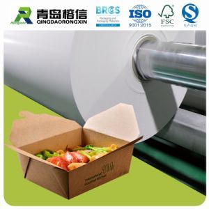 Eco-Friendly Pbs Coated Paper Take Away Food Packaging Box Paper Biodegradable Material Wholesale Paper in Jumbo Roll