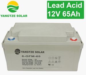 12V 65ah Lead Acid Battery for Telecom